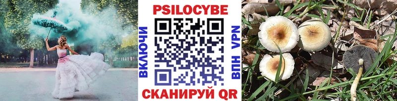Псилоцибиновые грибы MAGIC MUSHROOMS  наркота  Торопец 