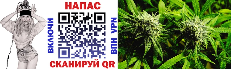 что такое наркотик  Торопец  Канабис ГИДРОПОН 